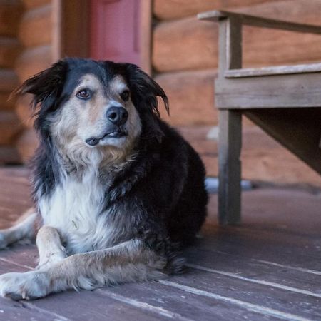 Wells Gray Guest Ranch Hotel Clearwater Luaran gambar