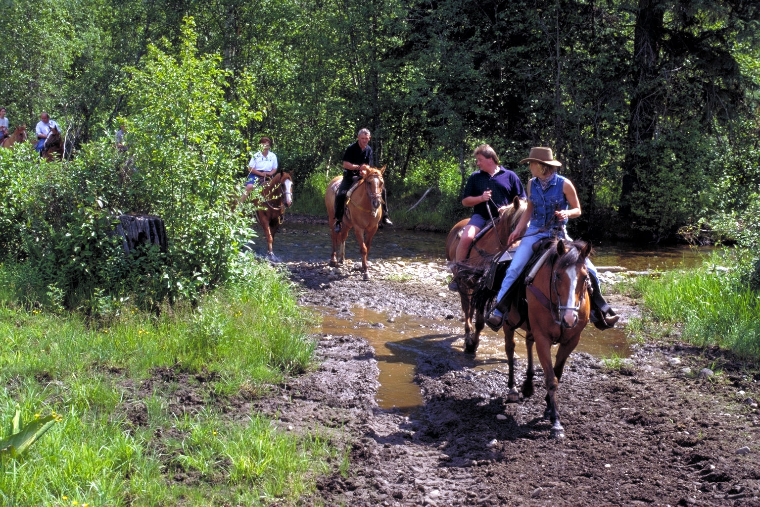 Wells Gray Guest Ranch Hotel Clearwater Luaran gambar