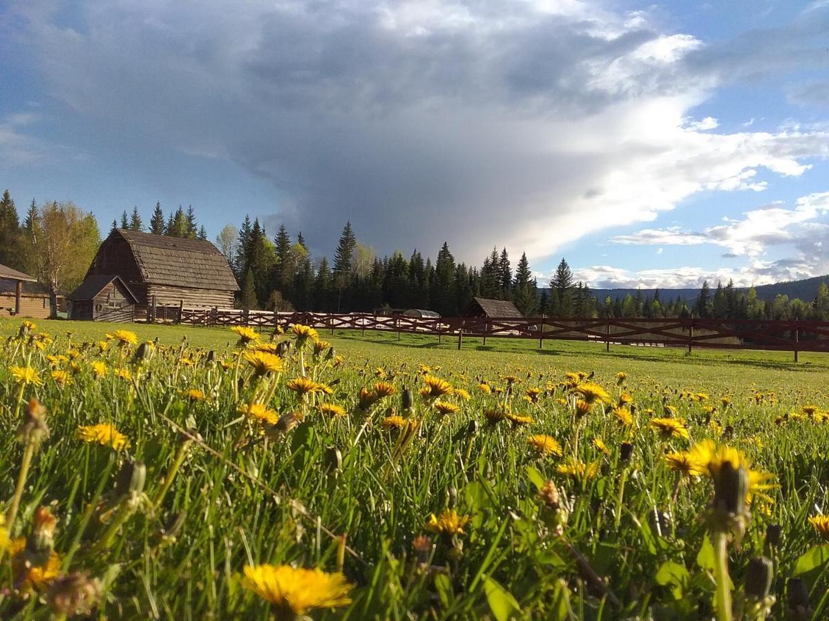 Wells Gray Guest Ranch Hotel Clearwater Luaran gambar